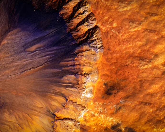 life-on-mars?-tiny-cells-just-survived-shock-waves-and-toxic-soil