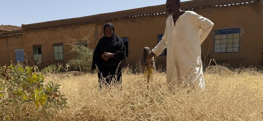 war-has-turned-this-african-capital-into-a-city-of-graves