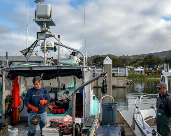 commercial-salmon-fishing-set-to-resume-along-california-coast-after-3-year-shutdown