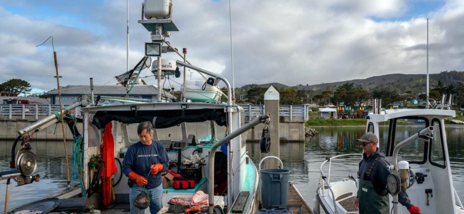 commercial-salmon-fishing-set-to-resume-along-california-coast-after-3-year-shutdown