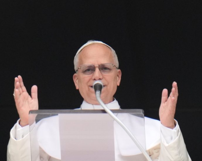 pope-leo-xiv-urges-peace-in-ukraine,-lebanon,-sudan-and-highlights-upcoming-africa-trip