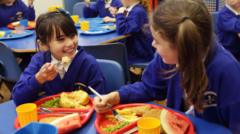 deep-fried-food-banned-in-new-plans-for-school-dinners