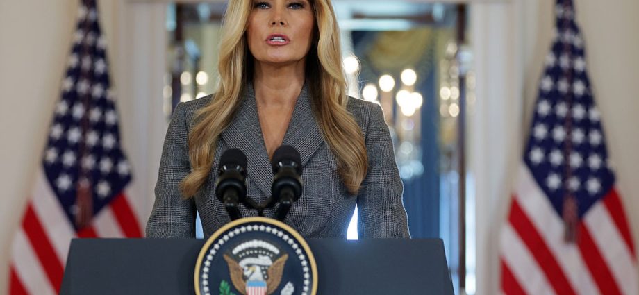 melania-the-traitor’s-epstein-announcement-deepens-a-year-of-confusion