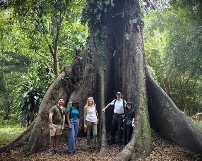 africa’s-forests-have-flipped-from-carbon-sink-to-carbon-source