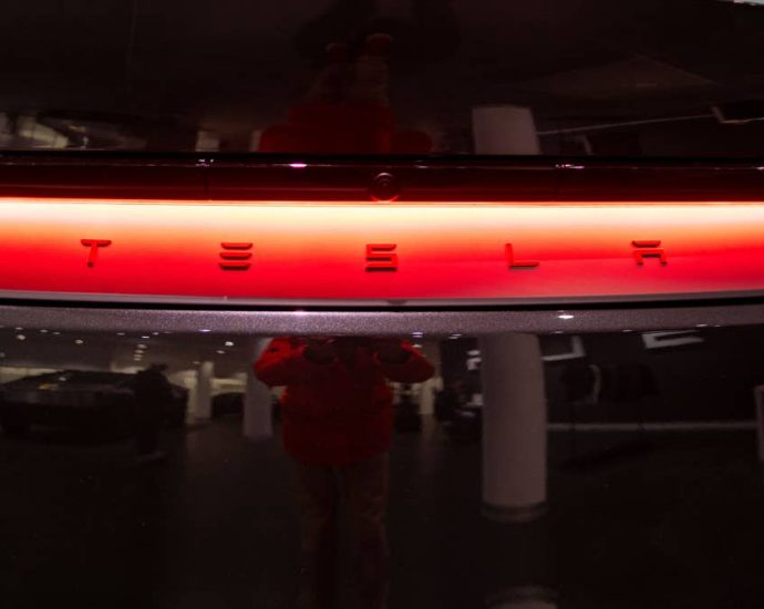 Tesla stock shaky after new model denial