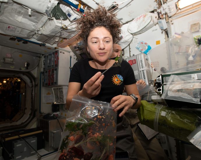 nutrition-research-arrives-aboard-space-station
