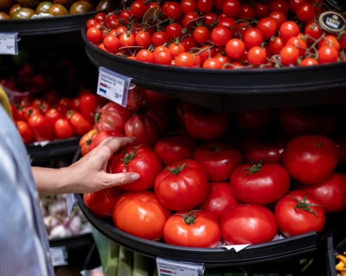 sticker-shock-on-tomatoes?-why-this-grocery-store-staple-is-the-latest-casualty-of-the-iran-war