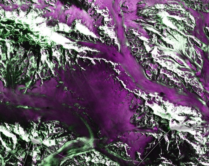 nisar-image-releases