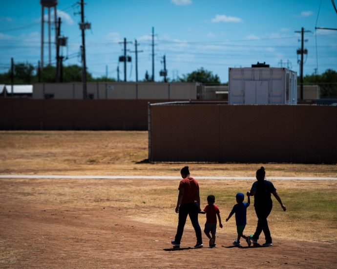 toddler-forced-back-into-ice-detention-after-nearly-dying