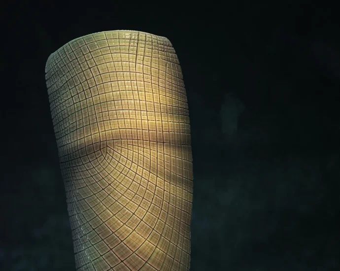 scientists-just-solved-a-160-million-year-fossil-mystery-“i’ve-never-seen-anything-like-it”