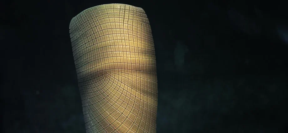 scientists-just-solved-a-160-million-year-fossil-mystery-“i’ve-never-seen-anything-like-it”