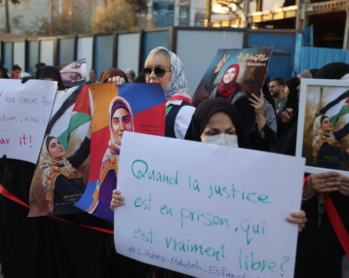 iran-citizen-held-in-france-over-pro-palestine-comments-returns-home