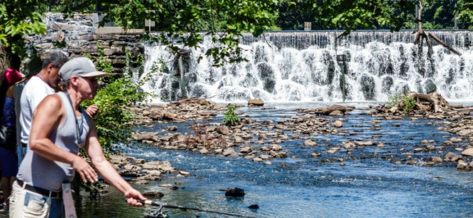 dam-useless:-barriers-prevent-a-migratory-fish-from-reproducing