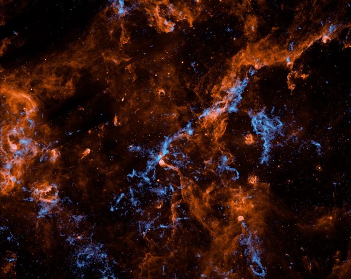 nasa’s-spherex-mission-maps-water-ice-throughout-cygnus-x