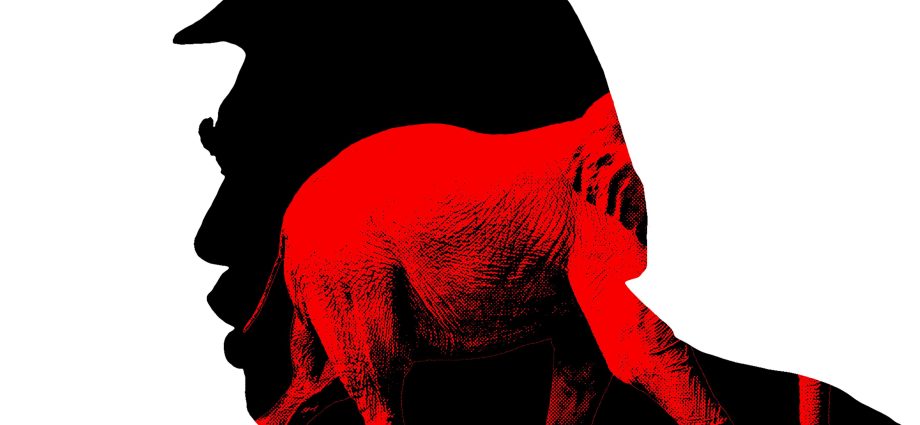 maga-is-starting-to-look-beyond-the-traitor