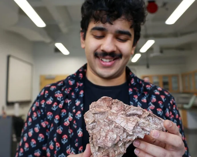 a-crushed-fossil-revealed-a-dinosaur-that-shouldn’t-have-existed