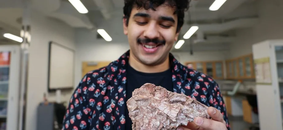 a-crushed-fossil-revealed-a-dinosaur-that-shouldn’t-have-existed