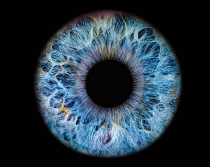 worldcoin‘s-newest-pitch:-scan-your-eyeballs-to-prove-ai-agents-really-represent-you