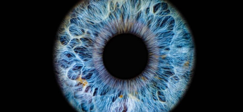 worldcoin‘s-newest-pitch:-scan-your-eyeballs-to-prove-ai-agents-really-represent-you