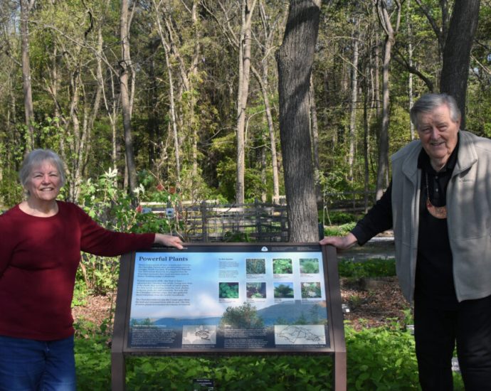 the-cherokee-rose,-georgia’s-state-flower,-actually-has-nothing-to-do-with-the-cherokee-people—or-the-state