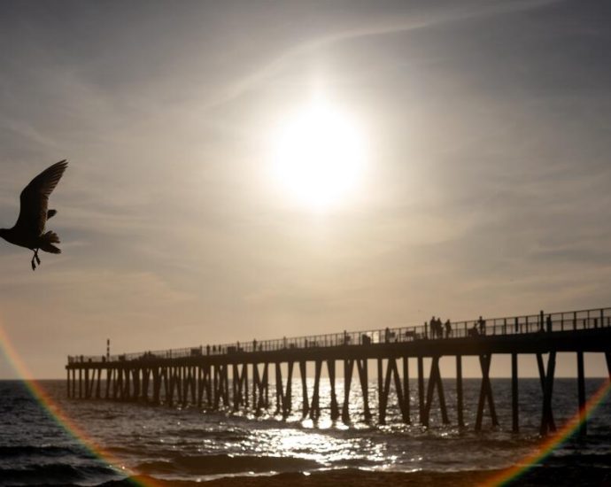 the-ocean-off-california-keeps-breaking-heat-records
