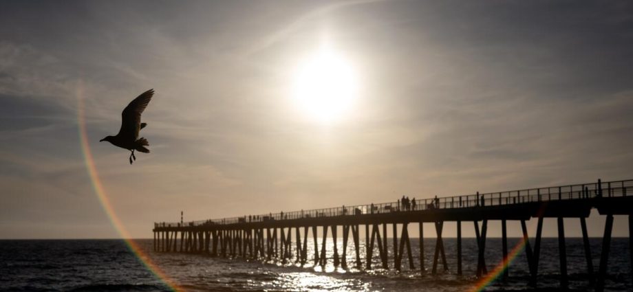 the-ocean-off-california-keeps-breaking-heat-records