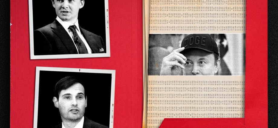 where-the-doge-operatives-are-now