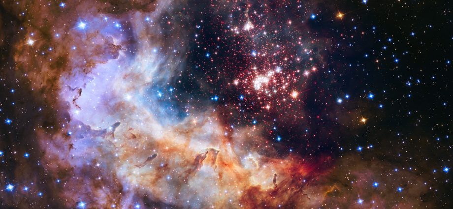 physics-of-the-cosmos-pag-meetings