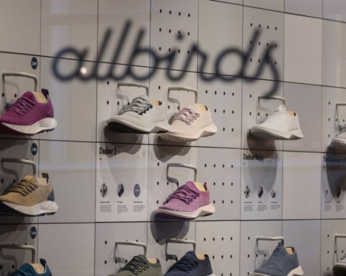 shoes-to-ai:-what’s-going-on-with-allbirds