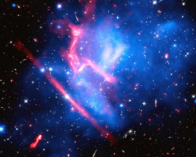 correction-to-f.5-finesst,-smd’s-graduate-student-research-opportunity