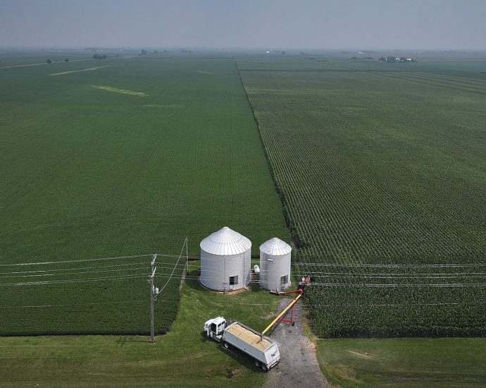 most-us-farmers-can’t-afford-the-fertilizer-they-need,-survey-finds