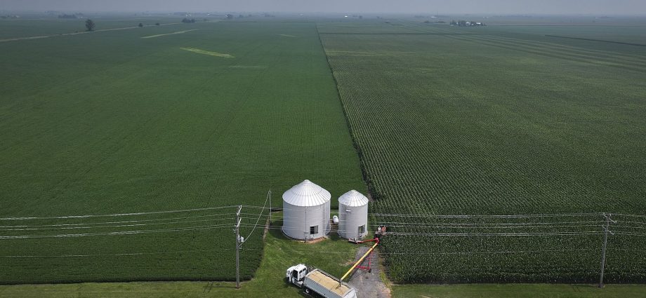 most-us-farmers-can’t-afford-the-fertilizer-they-need,-survey-finds