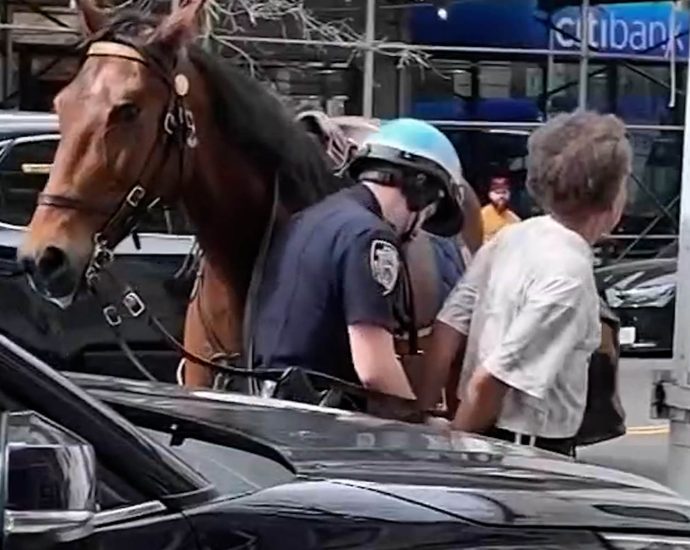 police-officer-on-horseback-chases-purse-thief-in-new-york