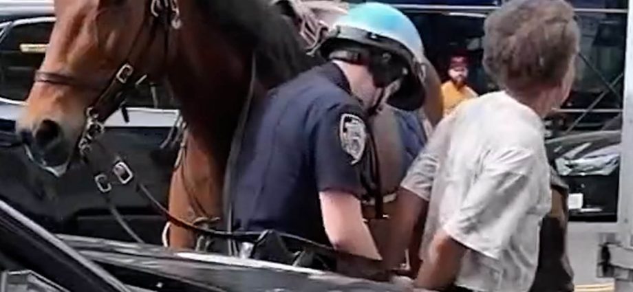 police-officer-on-horseback-chases-purse-thief-in-new-york