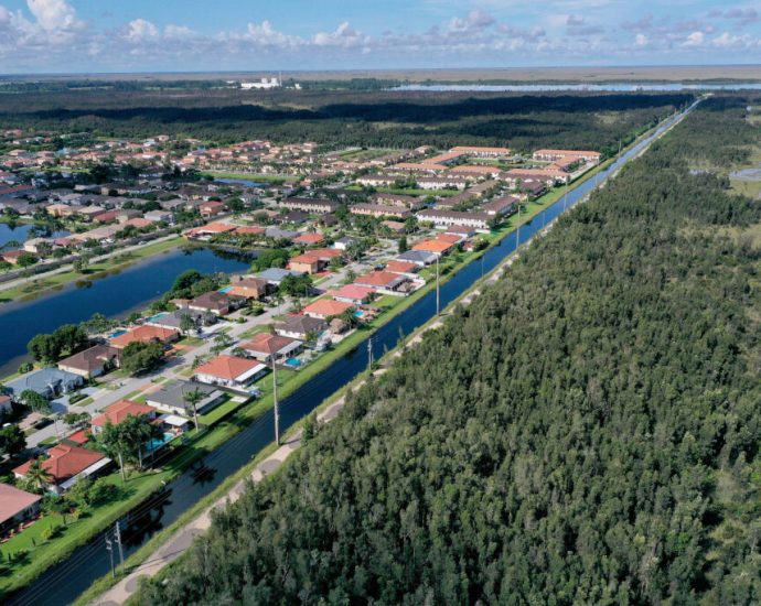 pollution-persists-in-the-florida-everglades-despite-40-year-restoration-effort,-report-says