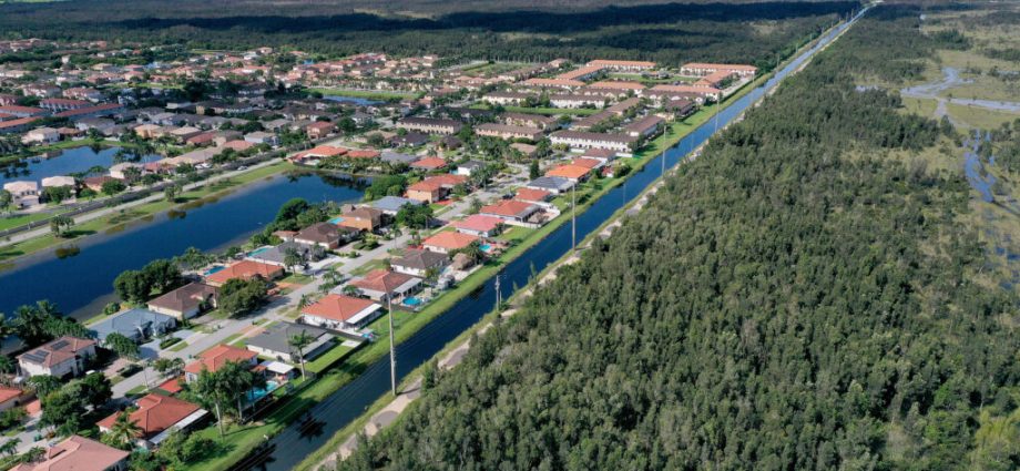 pollution-persists-in-the-florida-everglades-despite-40-year-restoration-effort,-report-says