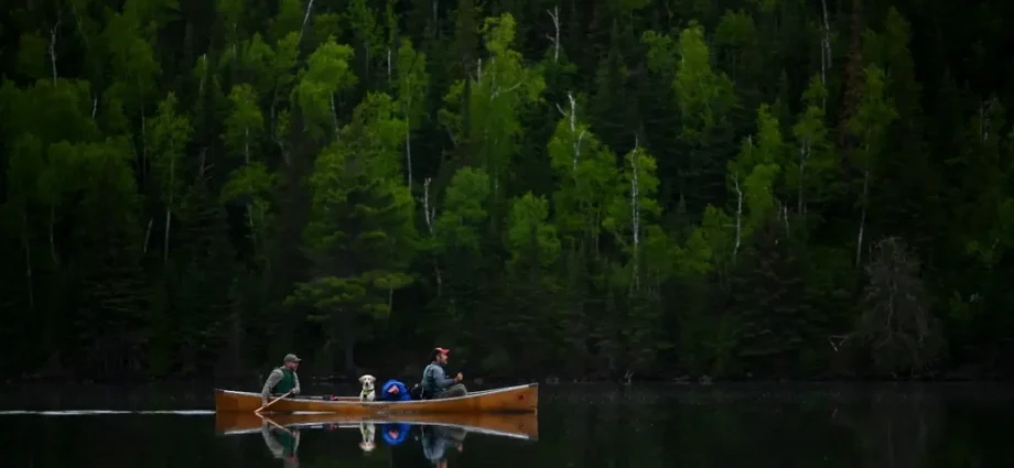 republicans-deployed-a-little-known-law-to-open-minnesota-wilderness-to-mining