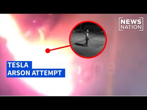person-allegedly-throws-molotov-cocktail-at-tesla-sales-office