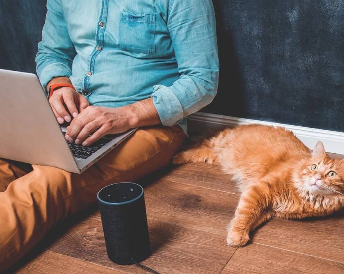 attention-data-hoarders:-alexa-loses-its-plex-appeal-as-voice-feature-gets-canned