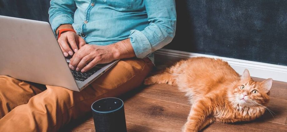 attention-data-hoarders:-alexa-loses-its-plex-appeal-as-voice-feature-gets-canned