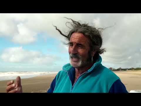 fifteen-rehabilitated-penguins-released-on-argentina-beach