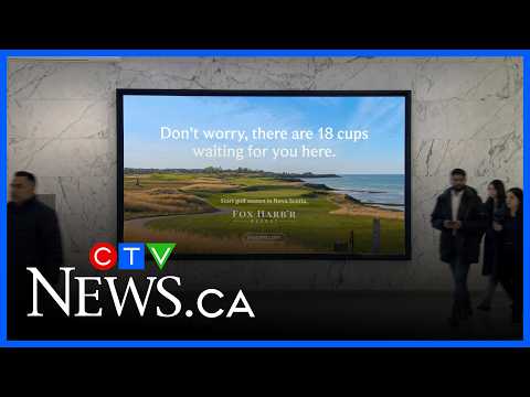 ns-golf-club-appeals-to-heartbroken-leafs-fans