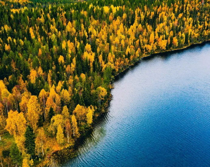 a-“lost-world”-beneath-the-north-sea-was-once-full-of-forests