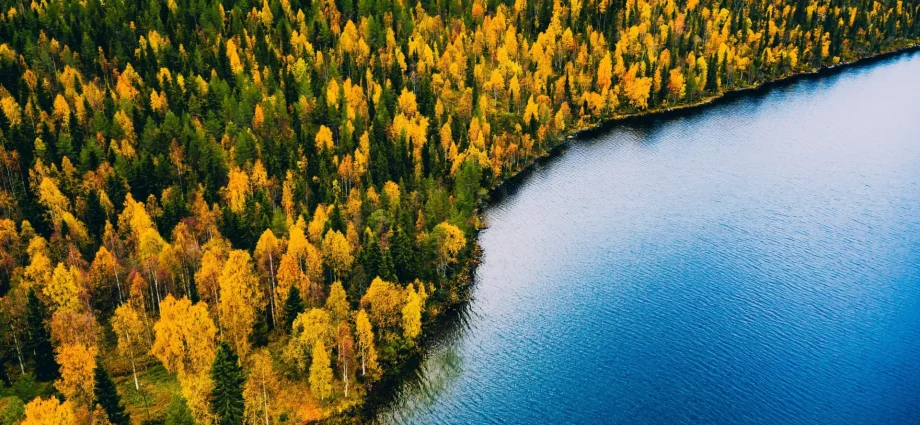 a-“lost-world”-beneath-the-north-sea-was-once-full-of-forests