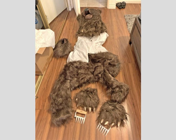 california-bear-suit-luxury-car-scam-ends-in-insurance-fraud-sentences-for-3