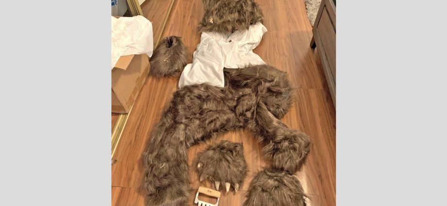 california-bear-suit-luxury-car-scam-ends-in-insurance-fraud-sentences-for-3