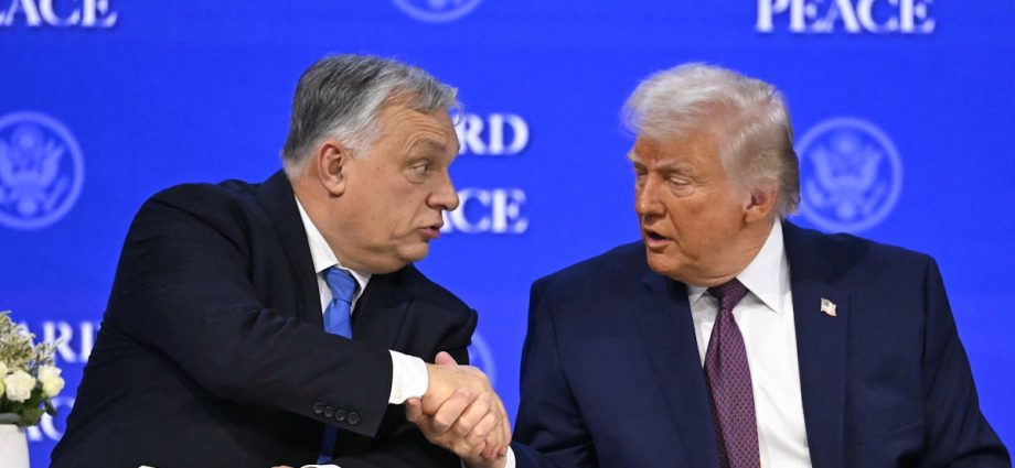 the-media’s-groundbreaking-discovery:-anti-corruption-is-good-politics