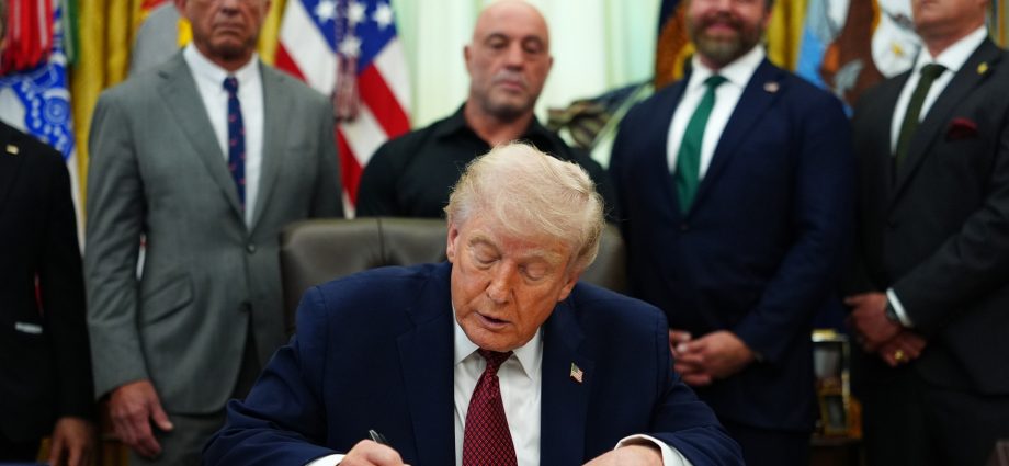 what-is-ibogaine?-executive-order-pushes-faster-reviews-of-psychedelic-drugs