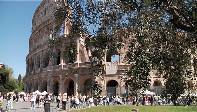 olive-harvesting-at-the-colosseum:-a-plantation-in-roman-ruins-in-the-heart-of-the-city