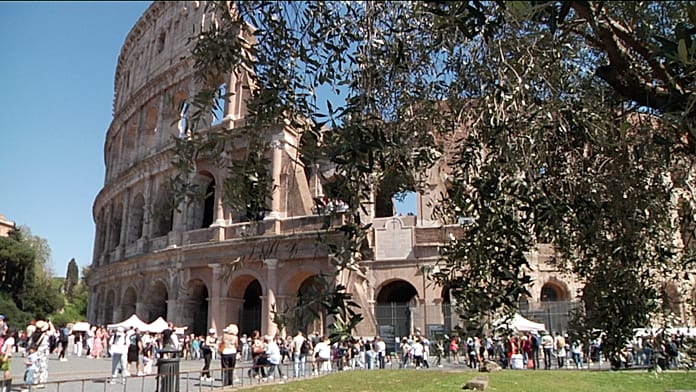 olive-harvesting-at-the-colosseum:-a-plantation-in-roman-ruins-in-the-heart-of-the-city